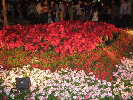 243-IMG_1642.jpg.medium.jpeg