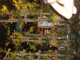 246-IMG_1645.jpg.small.jpeg