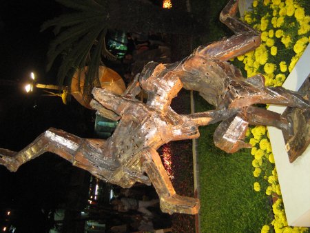 253-IMG_1652.jpg.medium.jpeg