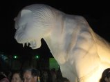 256-IMG_1655.jpg.small.jpeg