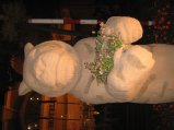257-IMG_1656.jpg.small.jpeg