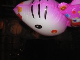 258-IMG_1657.jpg.small.jpeg