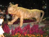 259-IMG_1658.jpg.small.jpeg
