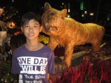 260-IMG_1659.jpg.small.jpeg