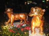 262-IMG_1661.jpg.small.jpeg