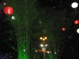 264-IMG_1663.jpg.small.jpeg