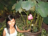 265-IMG_1664.jpg.small.jpeg