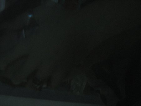 269-IMG_1668.jpg.medium.jpeg