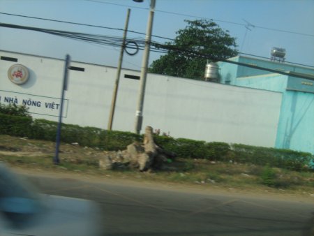 275-IMG_1688.JPG.medium.jpeg