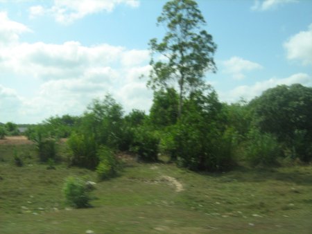 282-IMG_1695.JPG.medium.jpeg