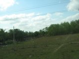 283-IMG_1696.JPG.small.jpeg