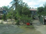 284-IMG_1697.JPG.small.jpeg