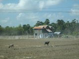 285-IMG_1699.JPG.small.jpeg
