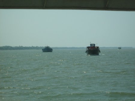 289-IMG_1703.JPG.medium.jpeg