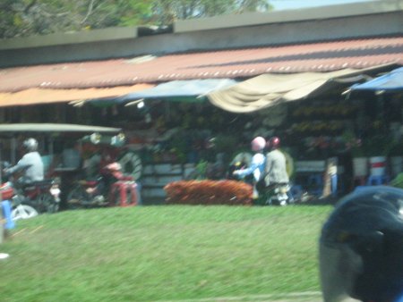 295-IMG_1709.JPG.medium.jpeg