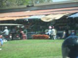 295-IMG_1709.JPG.small.jpeg