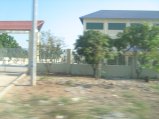 301-IMG_1715.JPG.small.jpeg