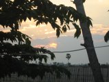 302-IMG_1716.JPG.small.jpeg