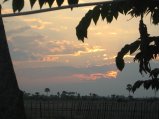 303-IMG_1717.JPG.small.jpeg