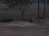 304-IMG_1718.JPG.small.jpeg