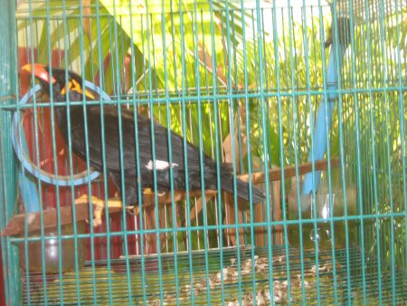 305-IMG_1719.JPG.medium.jpeg