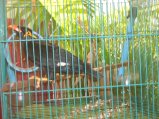 305-IMG_1719.JPG.small.jpeg