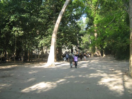309-IMG_1723.JPG.medium.jpeg