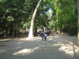 309-IMG_1723.JPG.small.jpeg