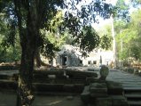 310-IMG_1724.JPG.small.jpeg
