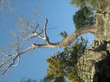 312-IMG_1726.JPG.small.jpeg