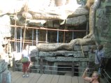 316-IMG_1731.JPG.small.jpeg