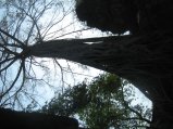 318-IMG_1733.JPG.small.jpeg
