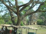 334-IMG_1749.JPG.small.jpeg