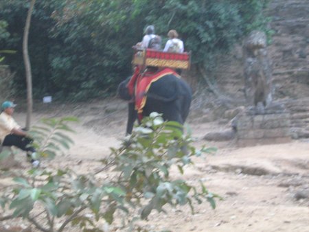 370-IMG_1785.JPG.medium.jpeg