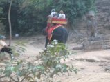 370-IMG_1785.JPG.small.jpeg