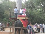 372-IMG_1787.JPG.small.jpeg
