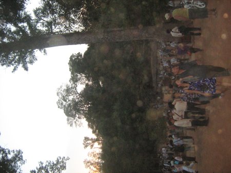 373-IMG_1789.JPG.medium.jpeg