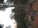 373-IMG_1789.JPG.small.jpeg