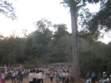 374-IMG_1790.JPG.small.jpeg