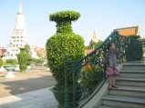 392-IMG_1809.JPG.small.jpeg