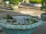 394-IMG_1811.JPG.small.jpeg