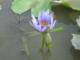 395-IMG_1812.JPG.small.jpeg