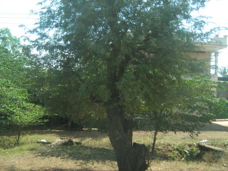 402-IMG_1819.JPG.medium.jpeg