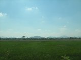 403-IMG_1820.JPG.small.jpeg