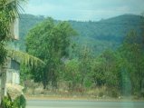 406-IMG_1823.JPG.small.jpeg