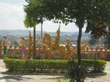 435-IMG_1853.JPG.small.jpeg