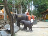 440-IMG_1858.JPG.small.jpeg