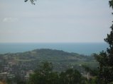 444-IMG_1862.JPG.small.jpeg