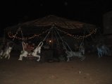447-IMG_1865.JPG.small.jpeg