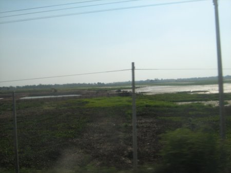 460-IMG_1879.JPG.medium.jpeg